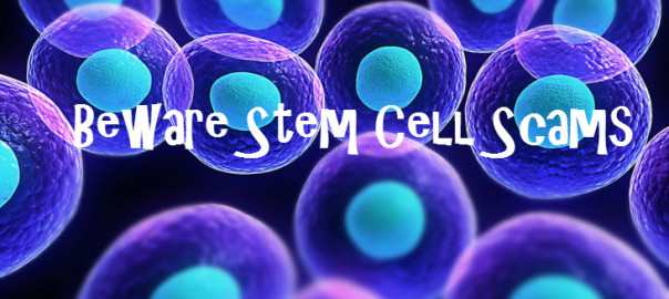 stem cell scams