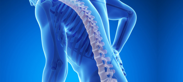 osteoporosis stem cells