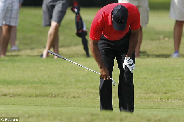 Did Prp Therapy Help Tiger Woods Regenerative Medicine Now