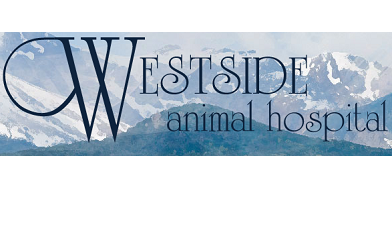 Westside Animal Hospital - Regenerative Medicine Now