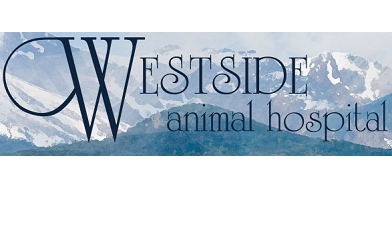 Westside Animal Hospital - Regenerative Medicine Now Westside Animal Hospital - Regenerative Medicine Now